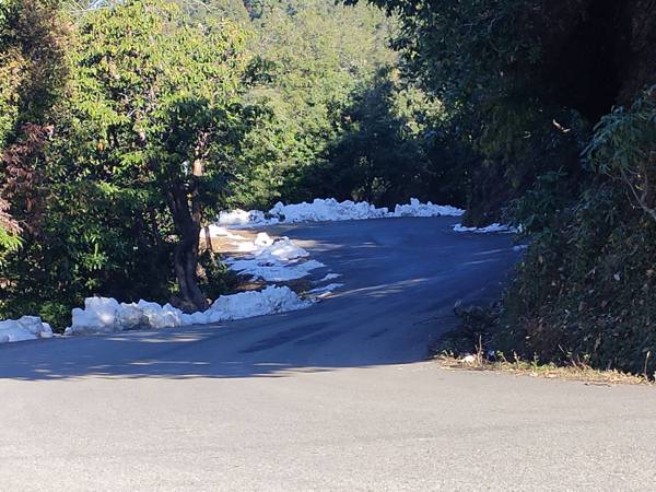 Snow lining the road just before Enchanted Hills, Mukteshwar
